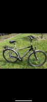 Pegasus Fahrrad 28“ Niedersachsen - Brietlingen Vorschau