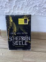 Erik Axl Sud-Scherben Seele Simmern - Westerwald Vorschau