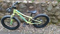 Specialized Riprock 20 zoll Kinderrad Schleswig-Holstein - Bad Segeberg Vorschau