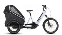 Cube Trike Hybrid Family 750, E-Lastenfahrrad Bosch, Nr.2118 Nordrhein-Westfalen - Bocholt Vorschau