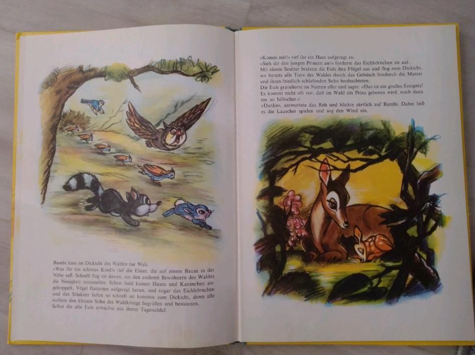 Bambi Walt Disney Delphin Verlag 12. Auflage 1971 in Obernburg