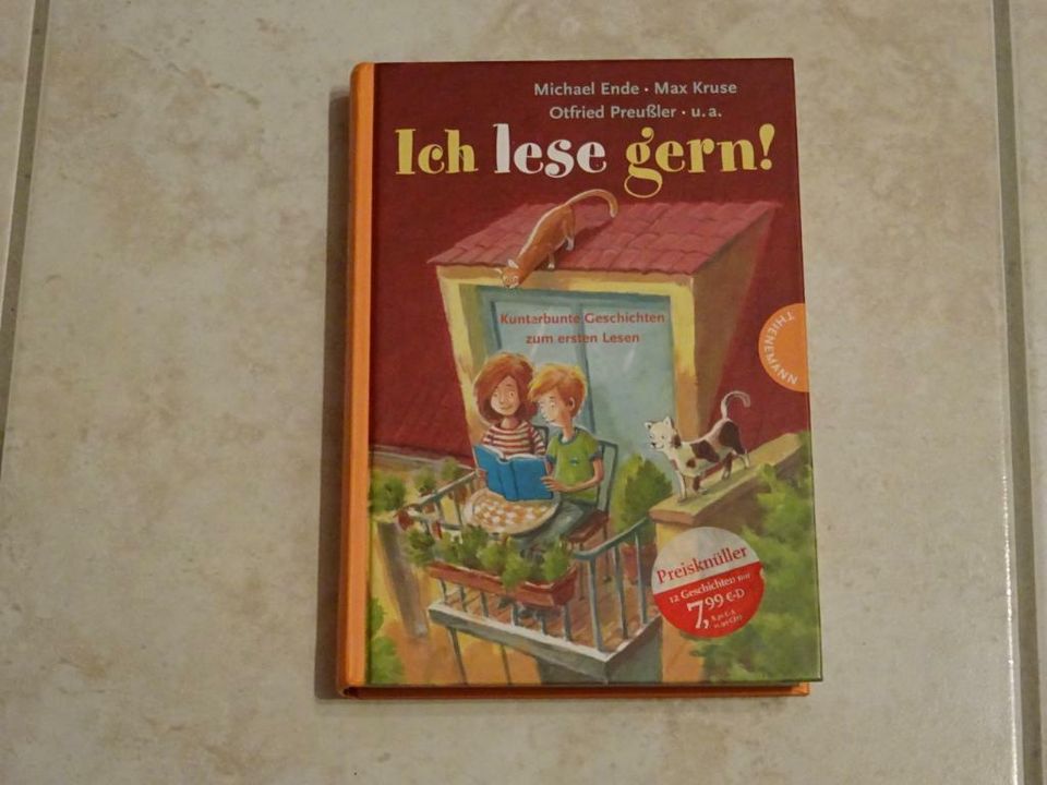 Buch:Ich lese gern! -12 kunterbunte Geschichten zum ersten Lesen in Höchstädt i. Fichtelgebirge