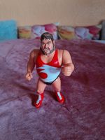 WWF Spielfigur Typhoon, Wrestling, Hasbro 90er Bayern - Treuchtlingen Vorschau