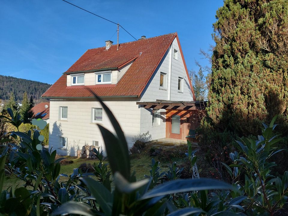 Grundstück Tuttlingen 12 ar mit kleinem Wohngebäude zu verkaufen! in Tuttlingen