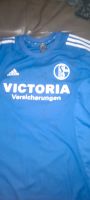 Schalke Orginal Saison 2002/3 Bochum - Bochum-Süd Vorschau