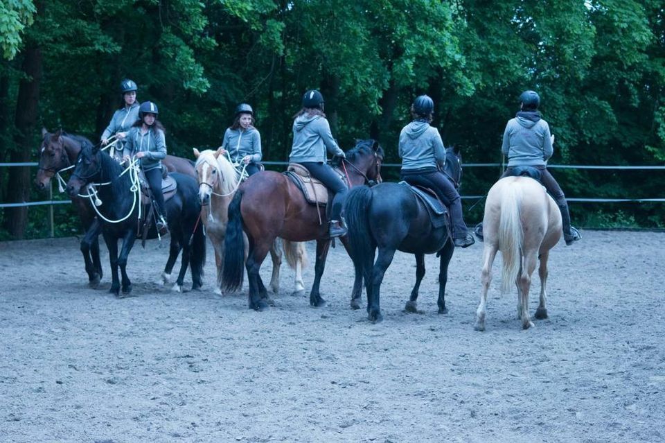 Reitunterricht Natural Horsemanship in Wetzlar