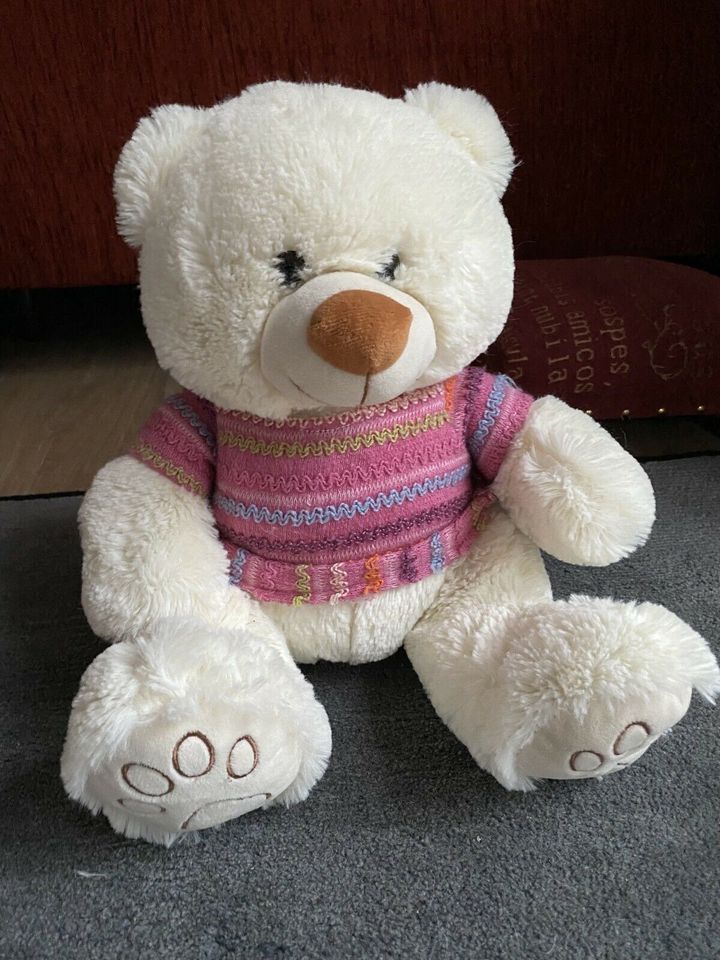 Teddy mit Pulli in Hasloh