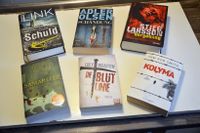 Bücher - Bestseller: Thriller / Krimis - Im Paket (50 Stck.!!!) Kiel - Schreventeich-Hasseldieksdamm Vorschau
