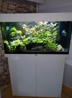 Aquarium Juwel mit Unterschrank Sachsen-Anhalt - Langenweddingen Vorschau