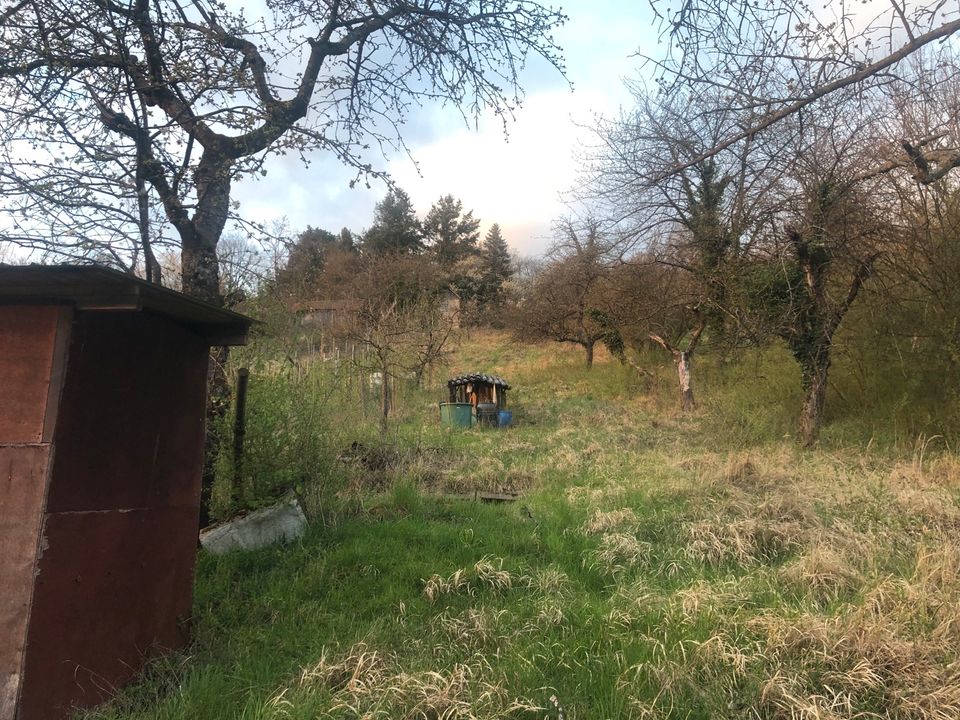 Grundstück Gartengrundstück zwischen Schorndorf und Winterbach in Göppingen