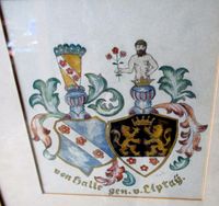 Heraldik Genealogie Wappenkunde von Halle Liptay Wappen 37*30 cm Niedersachsen - Hoya Vorschau