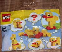 LEGO 30541 Bau deine eigene LEGO Ente OVP Polybag Sachsen-Anhalt - Sandersdorf Vorschau