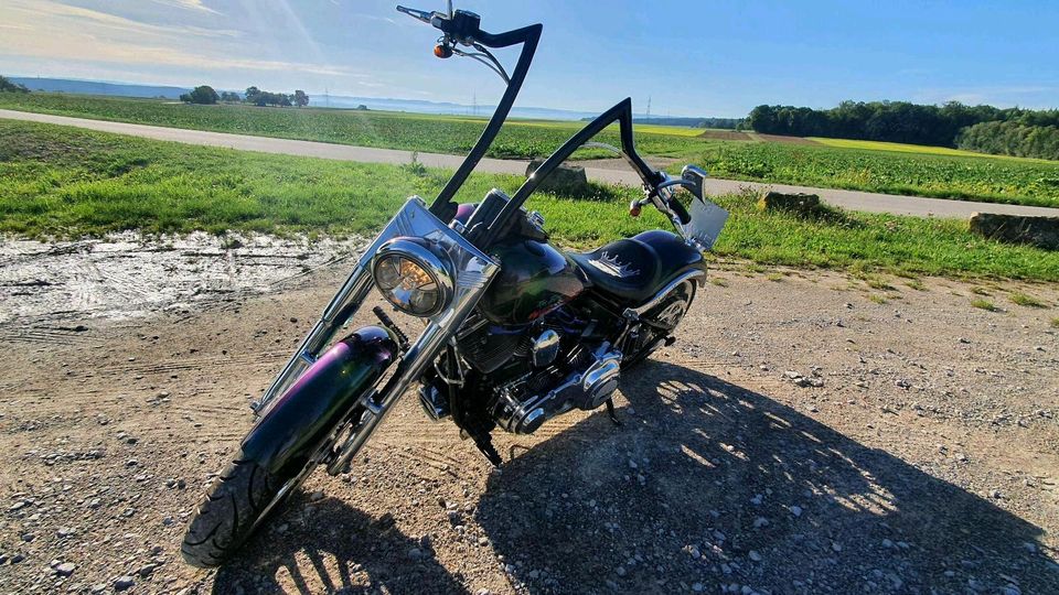 Harley Davidson Fatboy FS2 Custom in Herrenberg