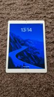 Ipad pro 12.9 2 Gen 512gb mit apple pen Hessen - Solms Vorschau