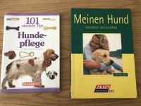 Hundepflege & Meinen Hund verstehen und erziehen Köln - Lindenthal Vorschau