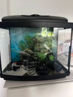 Aquarium ca 50l Nordrhein-Westfalen - Waldbröl Vorschau