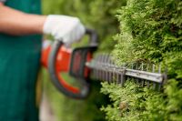 ✨ Hecke schneiden  Heckenschnitt zum Festpreis freie Termine ✨ Niedersachsen - Apen Vorschau