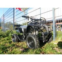 50ccm Kinderquad 49ccm 4 Takt Quad ATV Miniquad Kinder Pocketquad Nordrhein-Westfalen - Greven Vorschau