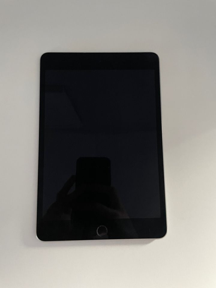 Apple iPad mini 4 Wifi 64GB Space Gray in Dasing