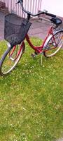 Damenfahrrad Nordrhein-Westfalen - Marl Vorschau