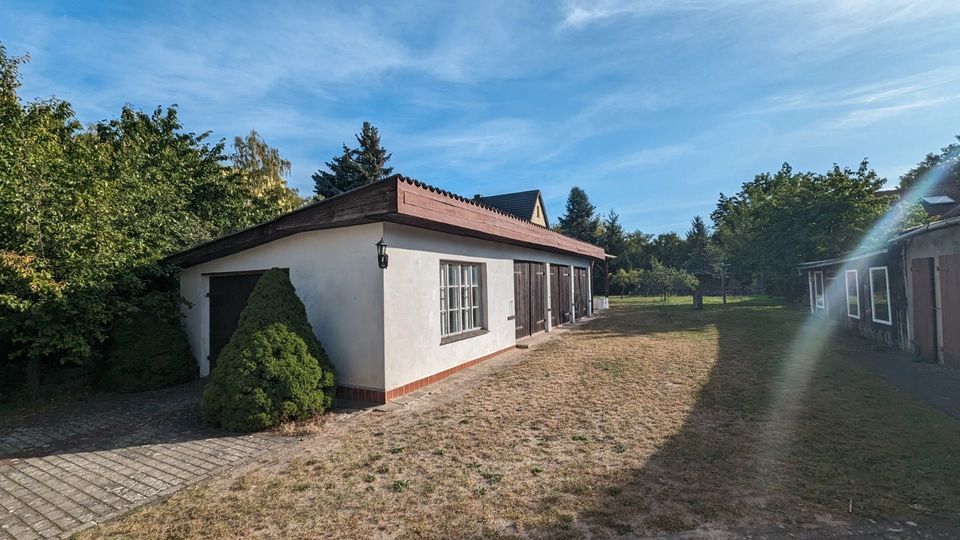 Hier ist Platz ! Wohnhaus mit Nebengelass und großem Grundstück zum Gestalten in Sachsendorf in Cottbus