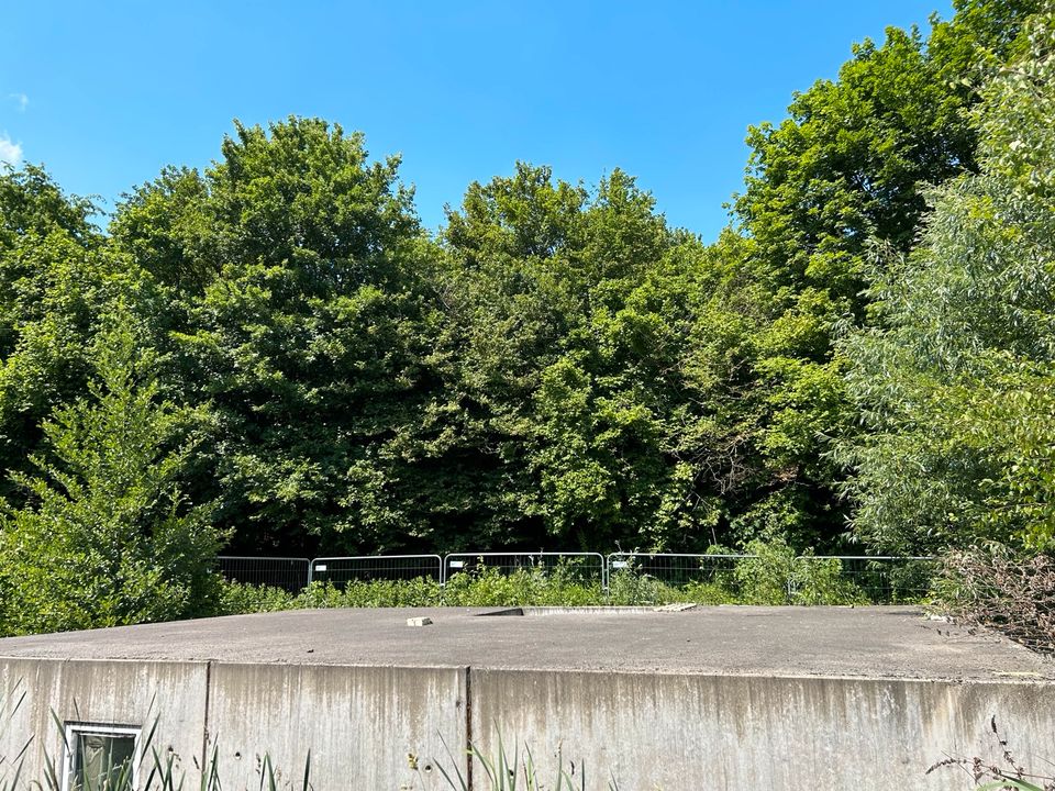 ‼️Erschlossenes Baugrundstück in Henrichenburg 609qm‼️ in Castrop-Rauxel