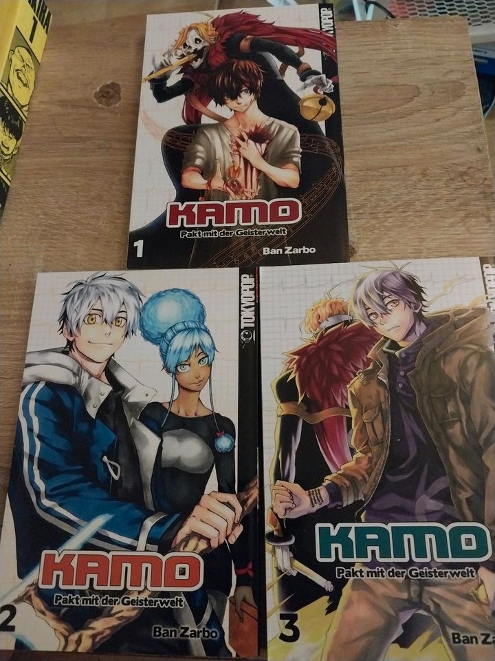 Manga Sammlung in Köln