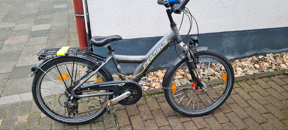 Kinderfahrrad Pegasus Avanti 24 Zoll in Geseke