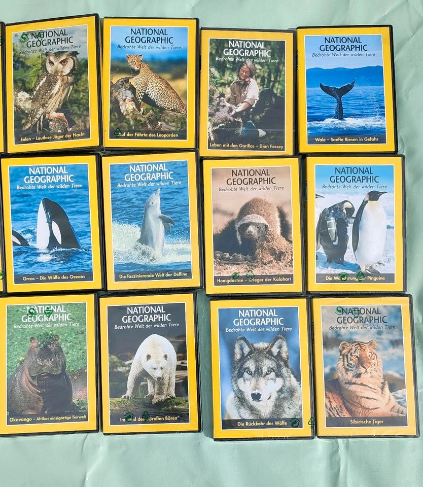 National Geographic DVD Sammlung in Graben-Neudorf