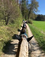 Reiterferien ➡️ neue Termine 2024!!!! Baden-Württemberg - Hilzingen Vorschau