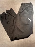 Puma Jogginghose M Trainingshose Nordrhein-Westfalen - Castrop-Rauxel Vorschau