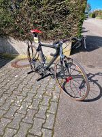 Cannondale Synapse Rennrad 51 cm Stuttgart - Botnang Vorschau