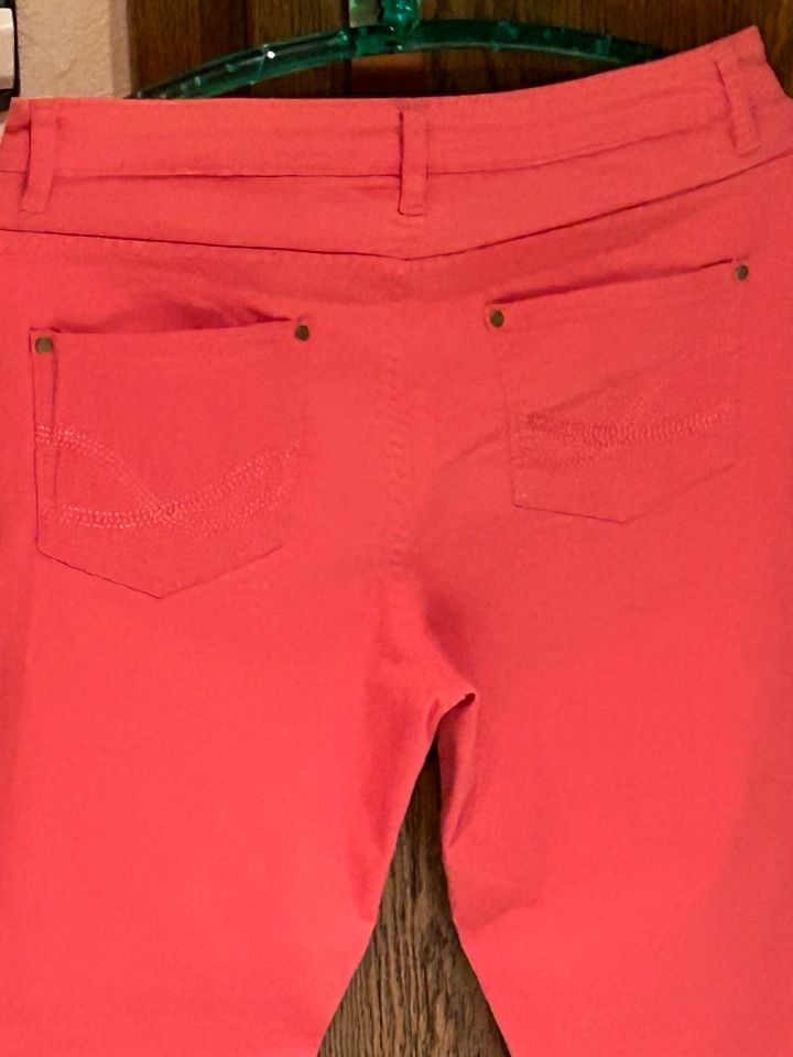NEU Damen Jeans Größe 38/40 in Weilrod 