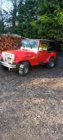 Jeep Wrangler, Bj. 1992, 121 PS Sachsen - Crostwitz Vorschau