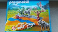 Playmobil 4829 Rheinland-Pfalz - Trier Vorschau