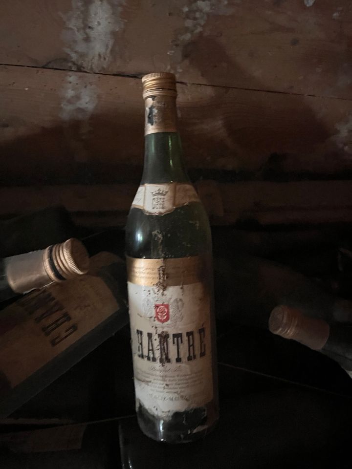 Alte Flaschen zu verkaufen in Viöl