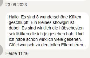 Bruteier Zwergseidenhühner Showgirls USSSilkies in Presseck