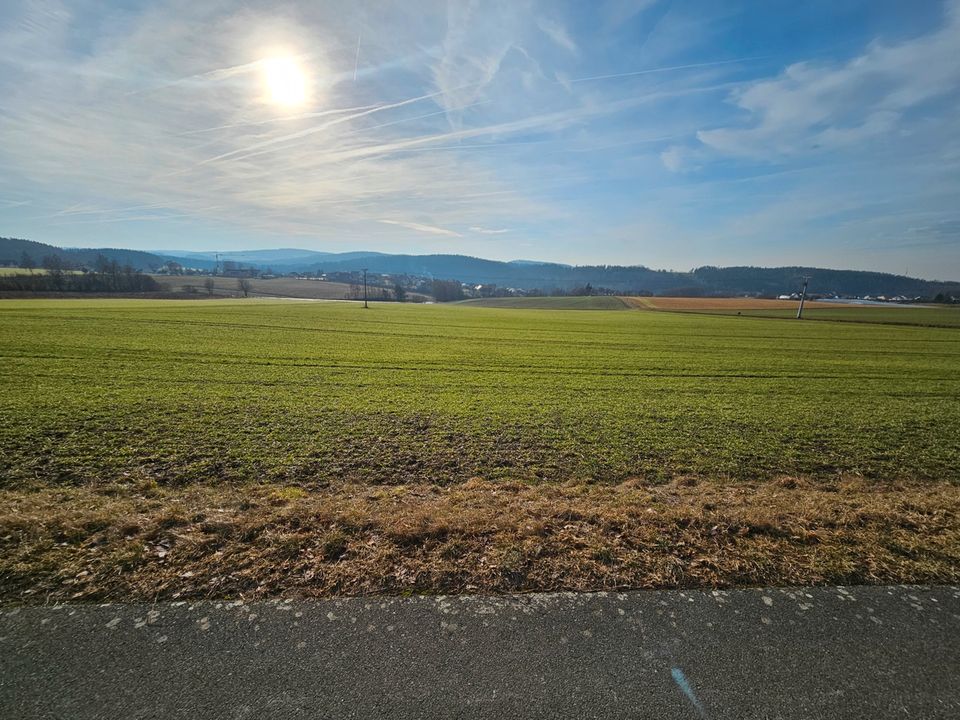 Landwirtschaftliche Fläche in Störnstein zu verkaufen in Störnstein