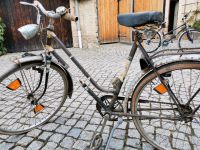 Hercules Damenfahrrad Sachsen-Anhalt - Zeitz Vorschau