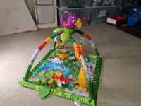 Fisher price Spielbogen rainforest Niedersachsen - Melle Vorschau