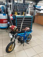 Omer Tanga Custombike No Kreidler Sachs Hercules Rheinland-Pfalz - Weidenthal Vorschau