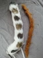 Cosplay Schwanz Tail Fuchs Kitsune Katze Sachsen - Delitzsch Vorschau