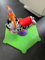 Fisher Price Hipp Hopp Zebra Bayern - Bodenwöhr Vorschau