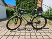 Mountainbike MTB Fahrrad Axess Debris 29 Aluminium Hardtail Bayern - Essenbach Vorschau