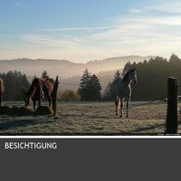 Bauernhaus mit arrondiertem Weideland Nordrhein-Westfalen - Meinerzhagen Vorschau