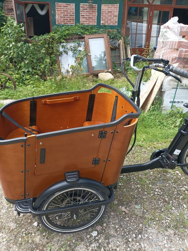 E Bike Transportfahrrad Citybike Lastenrad in Gnarrenburg