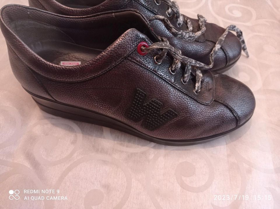 Damen Schuhe Größe 41/42/8 Lloyd Paul Green Schuhengel Melluso in  Baden-Württemberg - Langenau | eBay Kleinanzeigen ist jetzt Kleinanzeigen