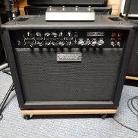 Laney Ironheart  Gitarren Combo sehr guter Zustand Mecklenburg-Vorpommern - Boizenburg/Elbe Vorschau