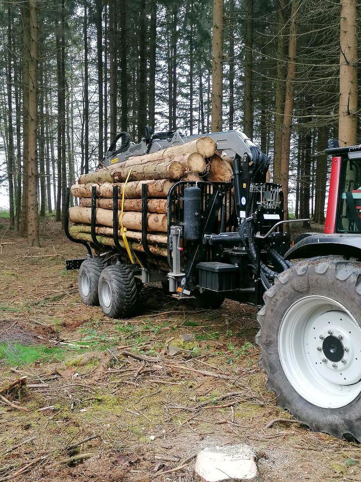 Holztransport, Holzrücken, Stammholz in Eppendorf