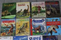 Dinosaurier Bücher Verschiedene / Tierbücher und andre Baden-Württemberg - Rastatt Vorschau